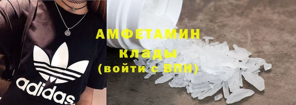прущие грибы Кинешма