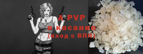 прущие грибы Кинешма