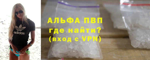 прущие грибы Кинешма
