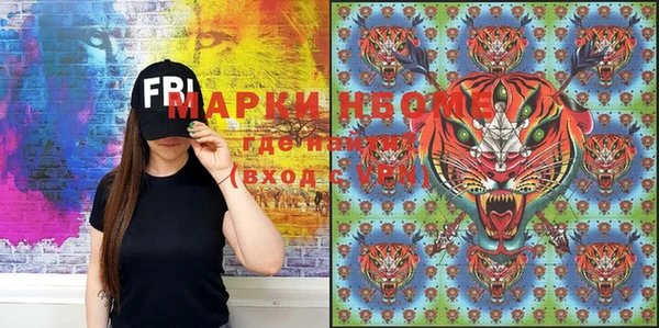 прущие грибы Кинешма