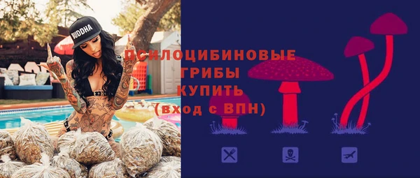 mdpv Киреевск