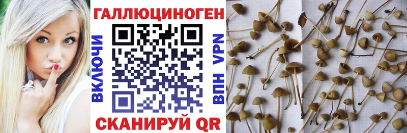 Псилоцибиновые грибы ЛСД  Починок 