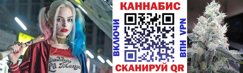где найти Починок Канабис Amnesia